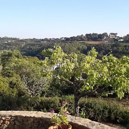 With 4 Bedrooms In With Wonderful Mountain View Private Pool Enclosed Garden 5 Km From The Beach *