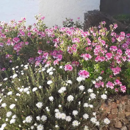 Βίλα With 4 Bedrooms In With Wonderful Mountain View Private Pool Enclosed Garden 5 Km From The Beach
