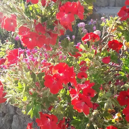 With 4 Bedrooms In With Wonderful Mountain View Private Pool Enclosed Garden 5 Km From The Beach Μάφρα